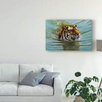 Трговска марка ликовна уметност „Преминување над пливање тигар“ платно уметност од Пип Мекгари