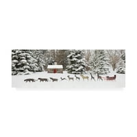 Трговска марка ликовна уметност „санки во снегот Фармингтон Хилс Мичиген“ платно уметност од Монте Наглер