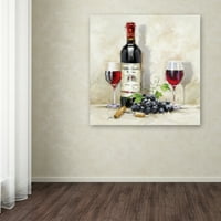 Трговска марка ликовна уметност „Црвено вино I“ платно уметност од студиото МекНил